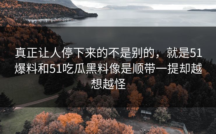 真正让人停下来的不是别的，就是51爆料和51吃瓜黑料像是顺带一提却越想越怪